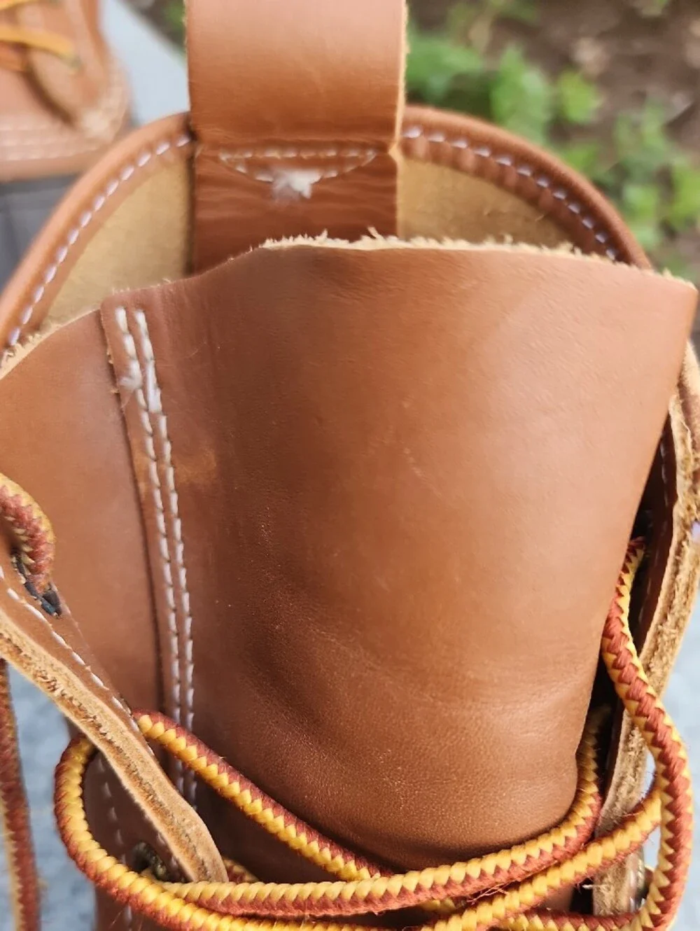 LL Bean 6